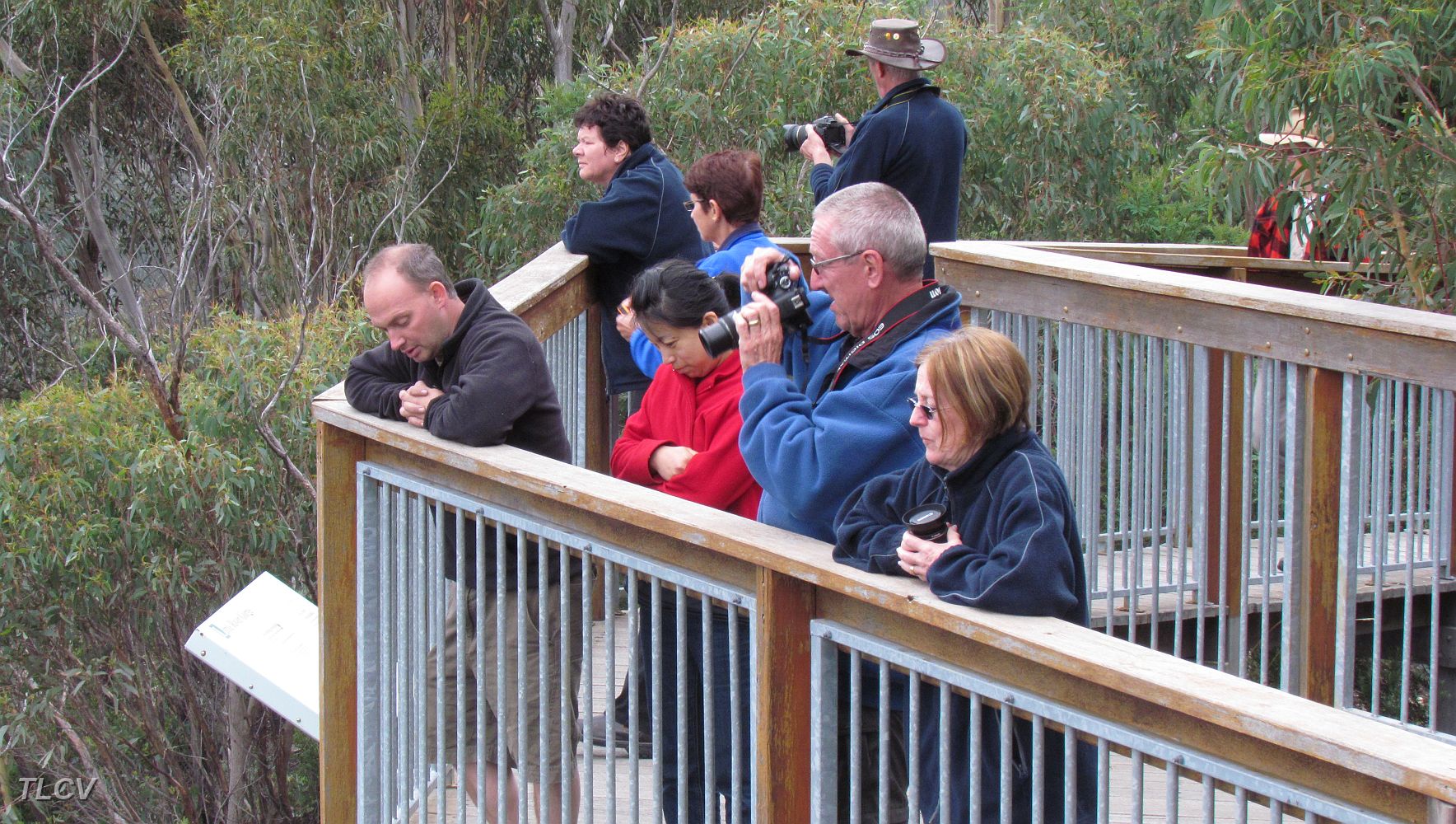 23-Inspiring views from the lookout of the Little River Gorge .JPG